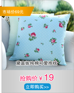 黛富妮纯棉可爱抱枕