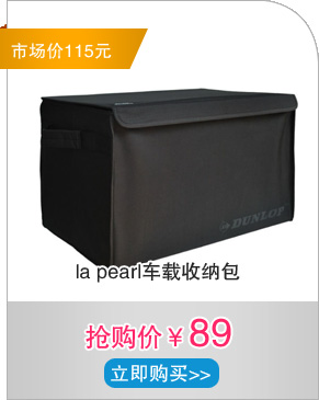 la pearl车载收纳包